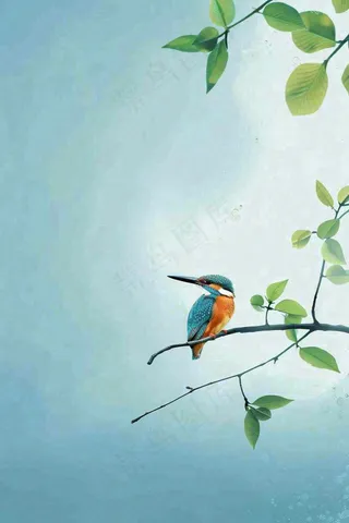 春天树枝上的小鸟春意立春惊蛰春分背景