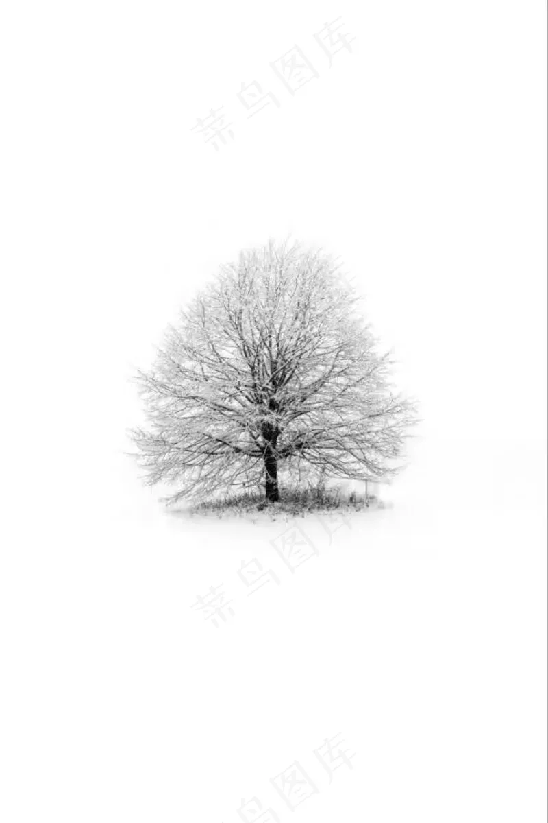 美丽的雪景