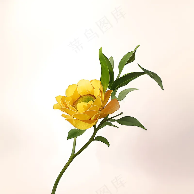 白色黄色手绘新中式风格花植物211