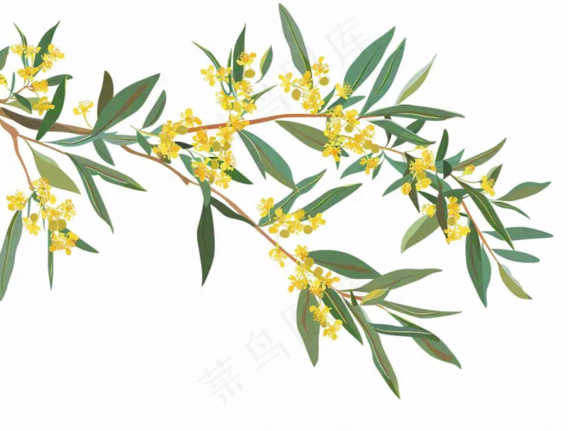 金秋桂花黄花树枝卡通插画免抠(1264x960)