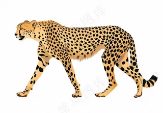 猎豹豹纹动物卡通插画免抠
