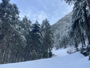 冬天的雪景