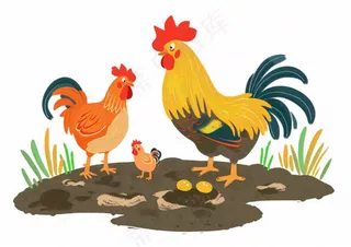 大公鸡小鸡鸡蛋卡通插画免抠