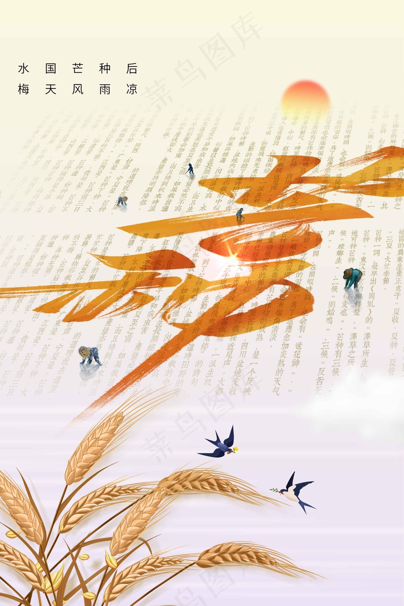 芒种节气传统活动海报psd模版下载