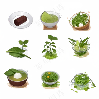 手绘练习小植物花草系列18