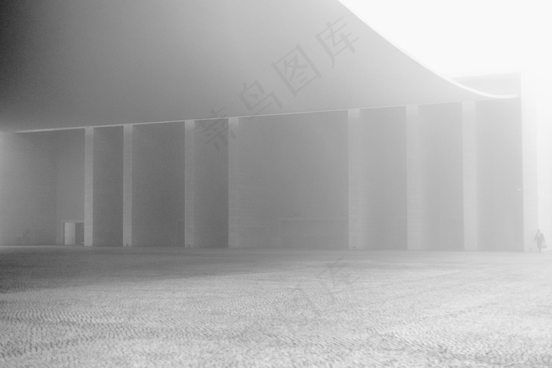 云雾森林图片