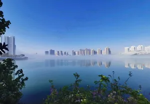 湿地公园看雾景3