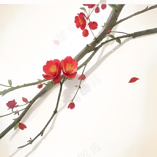 粉色手绘梅花一枝梅素材6