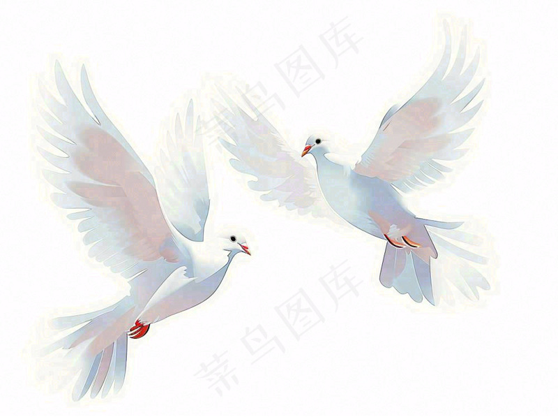 飞鸽白鸽和平鸽鸟卡通插画免抠(1264x944)