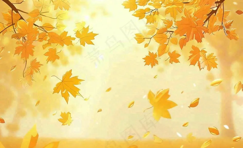 秋天红了的枫叶枫树落叶飘零立秋秋分黄色卡通插画背景(1408x864)