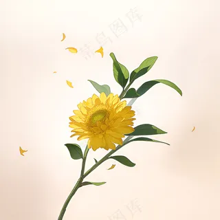 白色黄色手绘新中式风格花植物178