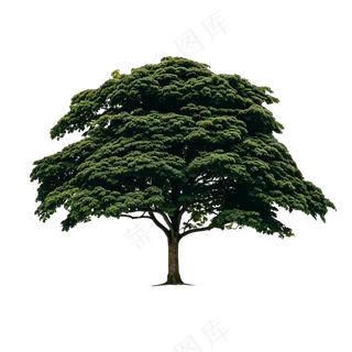 PSD免抠人面子树 PSD免抠人面子树