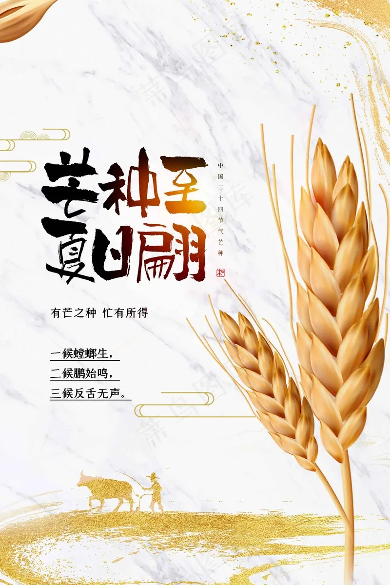 芒种节气传统海报psd模版下载