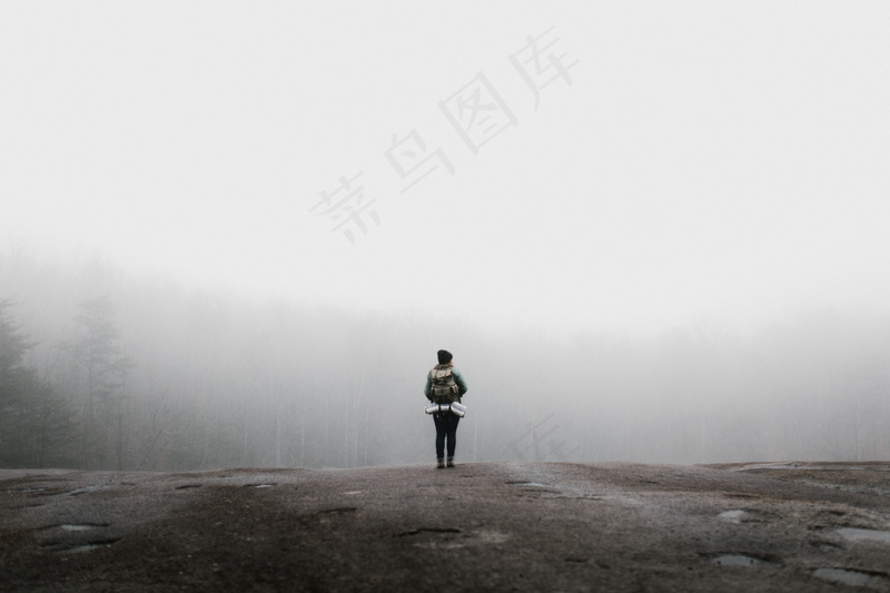 云雾森林图片