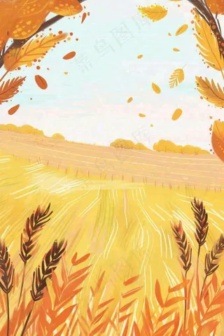 秋天金黄的麦田小麦黄树秋风丰收的季节立秋秋分卡通插画背景