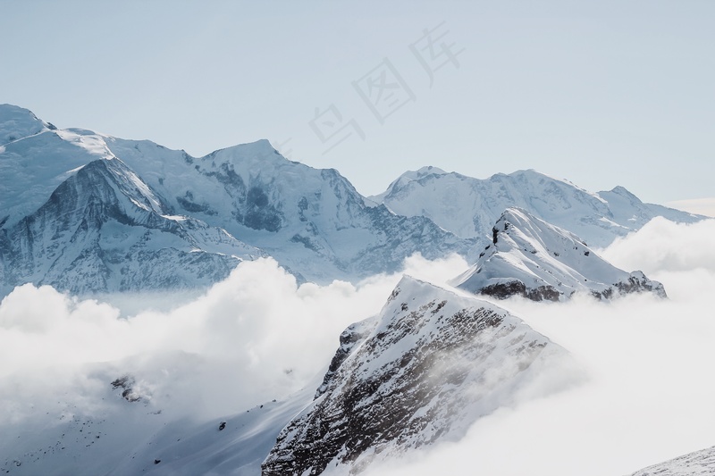 云雾森林图片