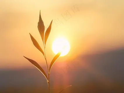 清晨日出朝霞云层山川摄影图