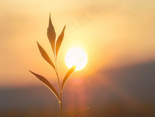 清晨日出朝霞云层山川摄影图