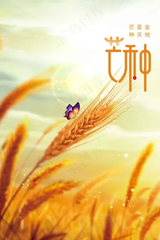 芒种节气传统海报