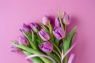 紫色郁金香鲜花妇女节摄影图