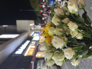 一束鲜花摄影