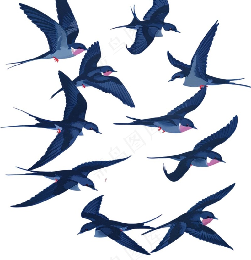 大雁燕子春天鸟元素卡通插画免抠