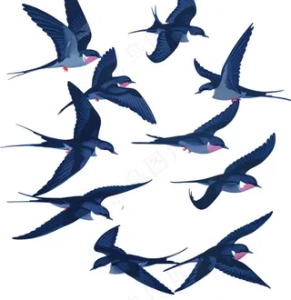 大雁燕子春天鸟元素卡通插画免抠