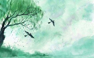 春天梅雨季柳树燕子清冷雨水谷雨惊蛰清明节水墨水彩插画背景