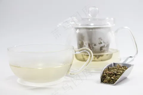 绿茶茶艺茶饮
