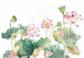 夏天荷花荷叶国风水彩画免抠