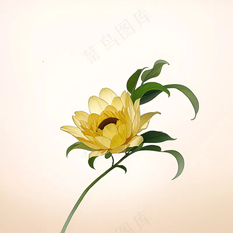 白色黄色手绘新中式风格花植物23