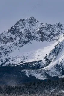 雄伟的雪覆盖山峰与森林