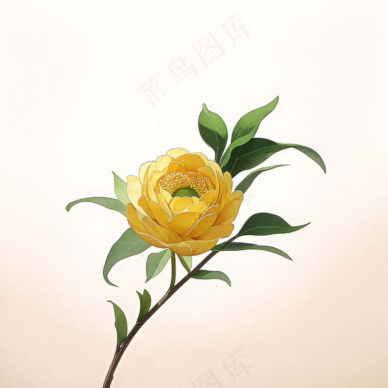 白色黄色手绘新中式风格花植物110