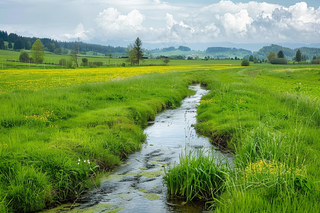 春天草地湿地农田水沟摄影图