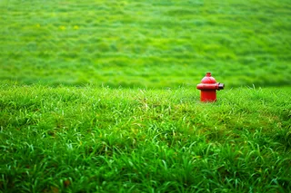 春天绿草地繁茂绿意摄影图