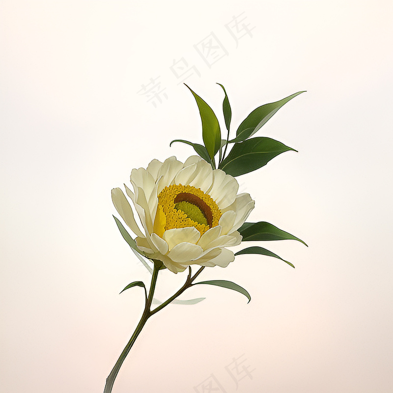 白色黄色手绘新中式风格花植物203
