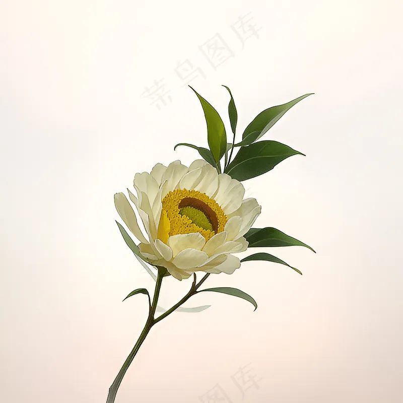 白色黄色手绘新中式风格花植物203 白色黄色手绘新中式风格花植物203
