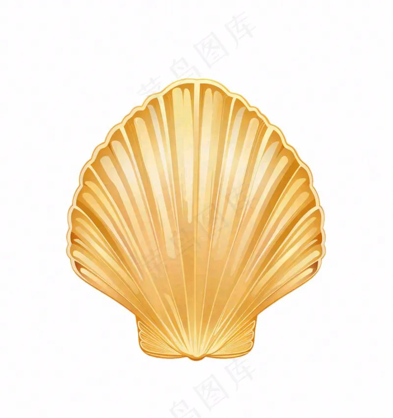 贝壳卡通插画免抠(1024x1088)