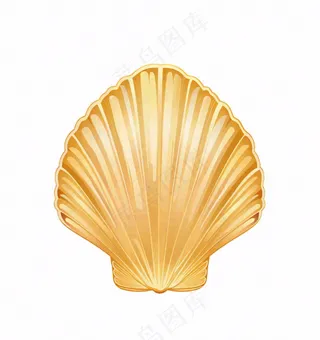 贝壳卡通插画免抠