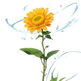 黄色向日葵免抠素材111
