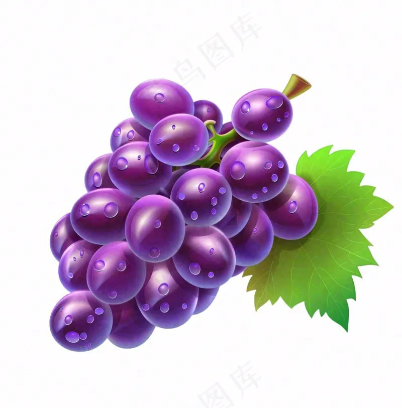 紫葡萄水果卡通插画免抠(1024x1040)