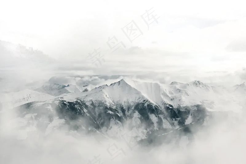 清新花朵背景14免扣图片