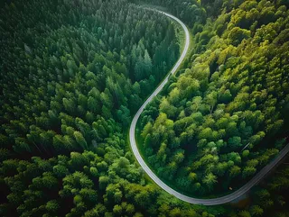 森林环山公路绿意摄影图