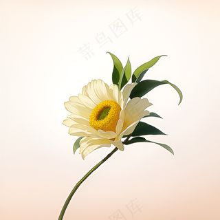 白色黄色手绘新中式风格花植物24