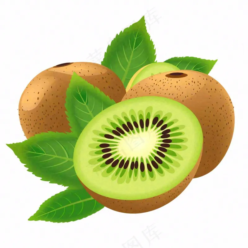猕猴桃水果卡通插画免抠(1024x1024)