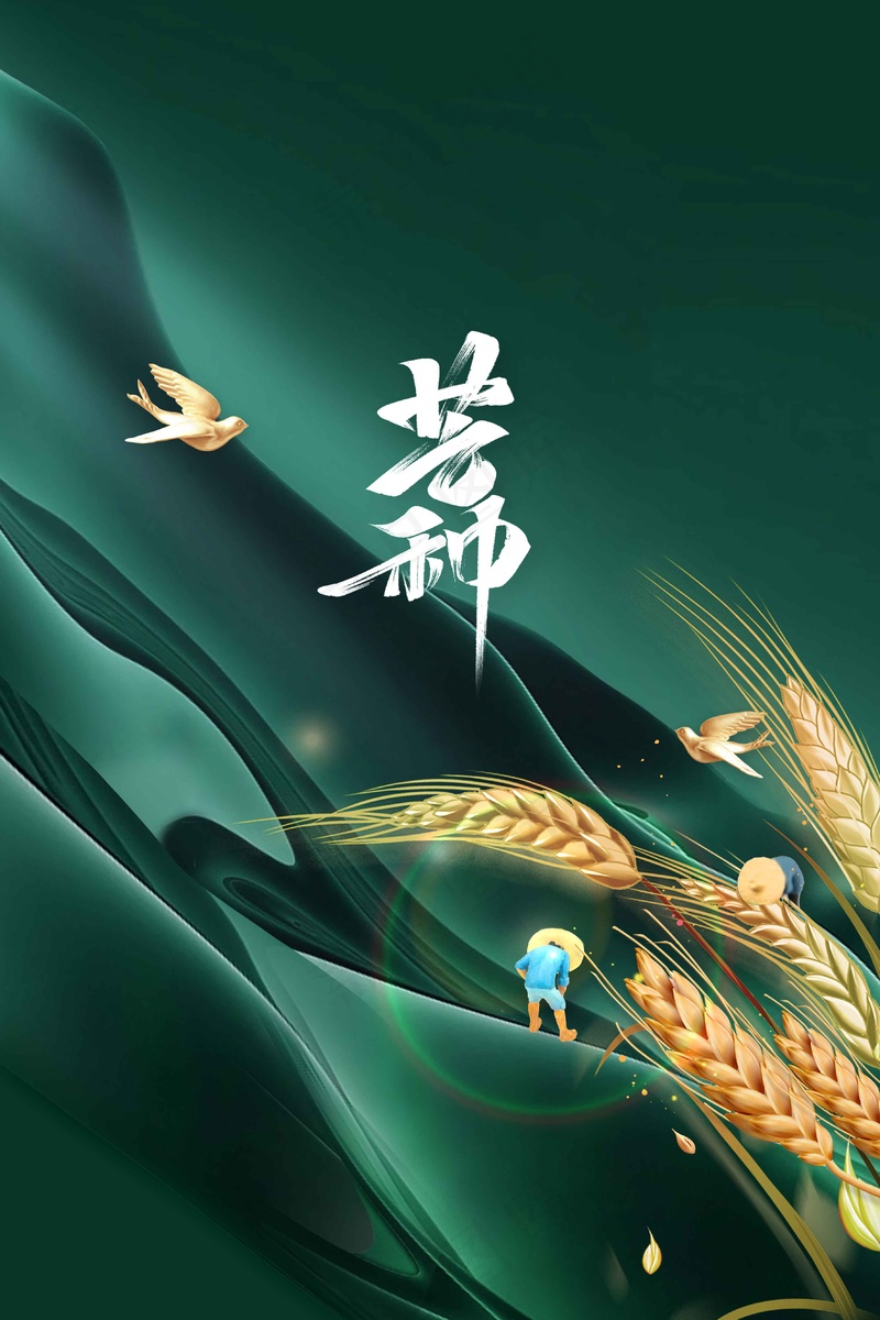 芒种节气传统海报psd模版下载
