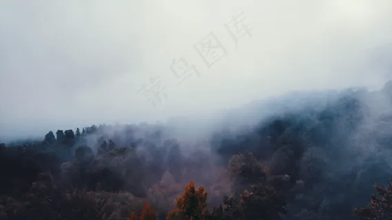 云雾森林图片 云雾森林图片