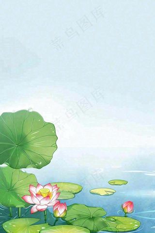 夏日池塘里的荷花荷叶插画清新淡雅立夏小暑大暑处暑卡通插画背景