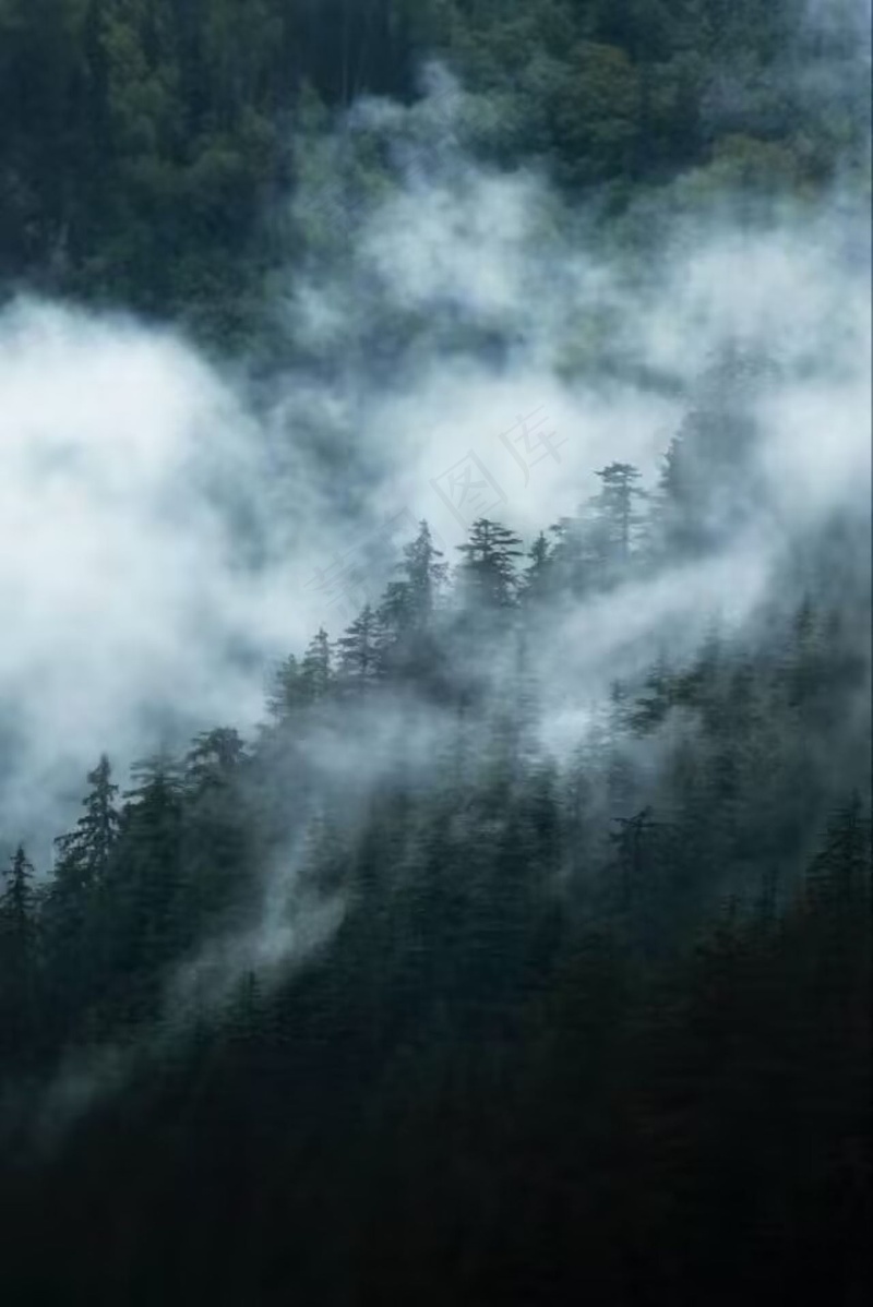 雾中的山林