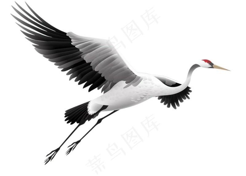 仙鹤国风插画免抠(1296x928)